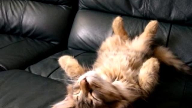 Надобраніч милий солодких снів смотреть онлайн