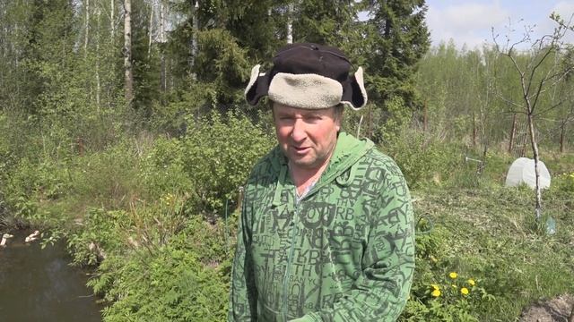 ЛОВЛЮ РЫБУ В СВОЕМ ПРУДУ. смотреть онлайн