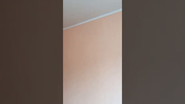 1к.кв г.Саратов/Братьев Никитиных 18 смотреть онлайн