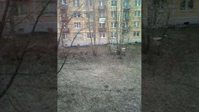 Вид из окна смотреть онлайн