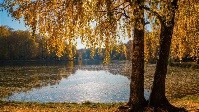 Закружилась листва золотая, Сергей Есенин смотреть онлайн