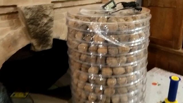 Строймарафон