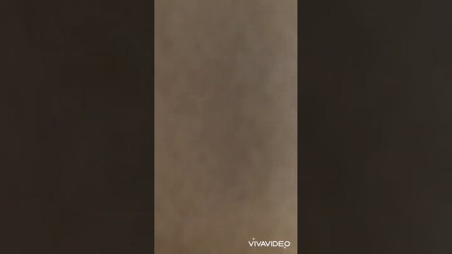 Санкт-Петербург, территория Усть-Славянка, Советский пр-т, 43к1 смотреть онлайн