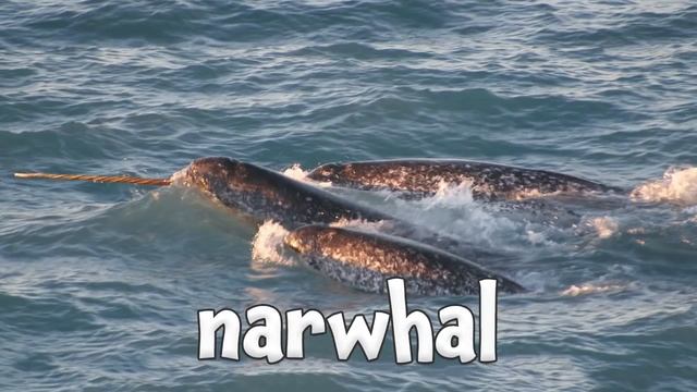 Winter Animals - Learning Winter Animals for Children смотреть онлайн