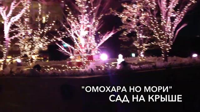 Японская рождественская иллюминация смотреть онлайн