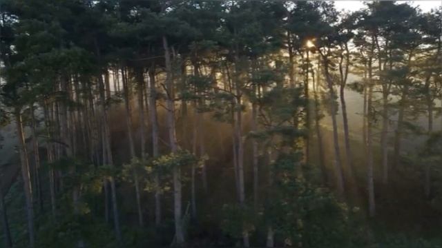 ❤️?МЕДИТАЦИЯ?️ глубокое погружение в сознание. УДАЛЕНИЕ СТАРЫХ ПРОГРАММ. Эмоциональный детокс?? смотреть онлайн