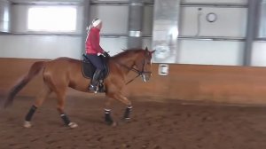 ОСНОВНЫЕ ОШИБКИ ВСАДНИКА НА ГАЛОПЕ