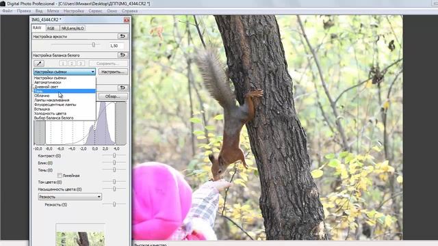 Что такое RAW или Как работать с РАВ файлами