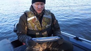 Лодка ПВХ при минусовой температуре / Что необходимо в лодке / Как правильно глушить мотор