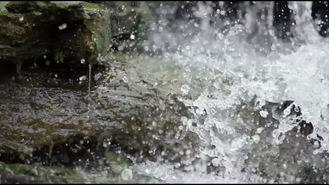 Life Is Beautiful | লাইফ ইজ বিউটিফুল | Bangla Natok | Jovan | Tasnia Farin | Bangla Natok 2022 смотреть онлайн