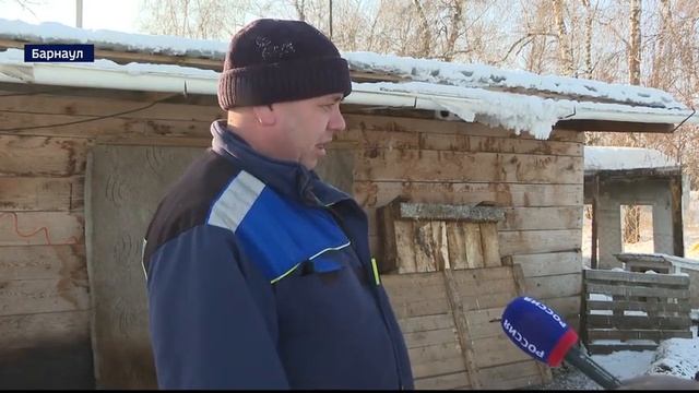 Краевая прокуратура проведёт проверку по факту гибели овец смотреть онлайн