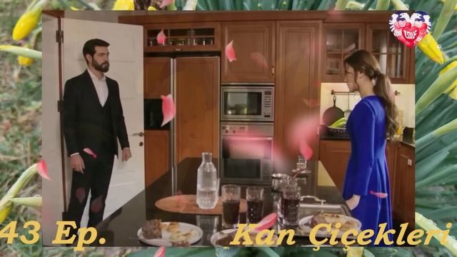 Osveta (Kan Çiçekleri) 41-45 epizoda sadržaj sa prevodom (1. sezona) смотреть онлайн