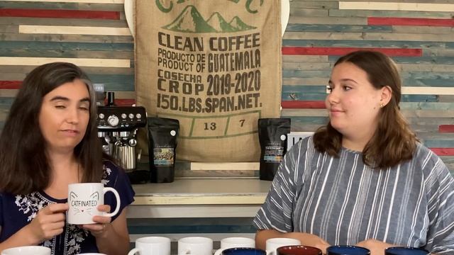 NEW Fall / Winter Coffee Collection Tasting // Java Jive Coffee CO. смотреть онлайн