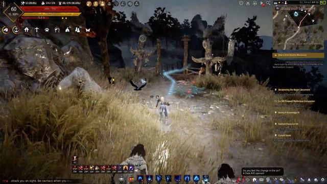 Black Desert Online - Blood Wolf Grinding spot смотреть онлайн