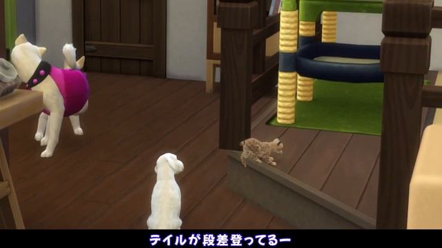 ＃1【シムズ４】わんにゃんカフェにようこそ【ゆっくり実況】 смотреть онлайн