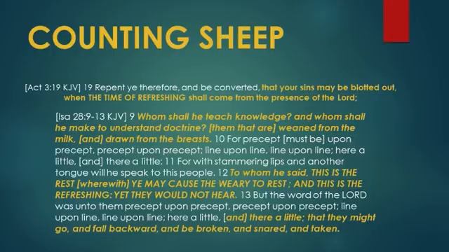 COUNTING SHEEP- THE BOOK OF LIFE смотреть онлайн