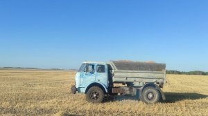 МАЗ-5549.Выгрузка пшеницы.