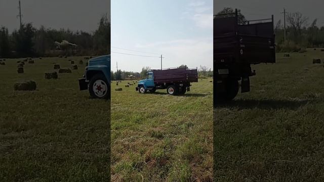 Газ обзор. Газ самосвал. Жаркент. Газ 69. Газ 66. Газ 52. Газ 53. Газ 3307 ремонт. Зил. Камаз. смотреть онлайн