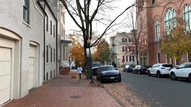 ⁴ᴷ⁶⁰ Georgetown, Washington DC | Walking Charming Neighborhoods