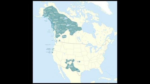 Языки На-дене