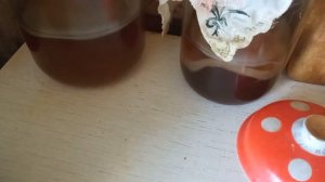 Чайный гриб постарел,как быть!?