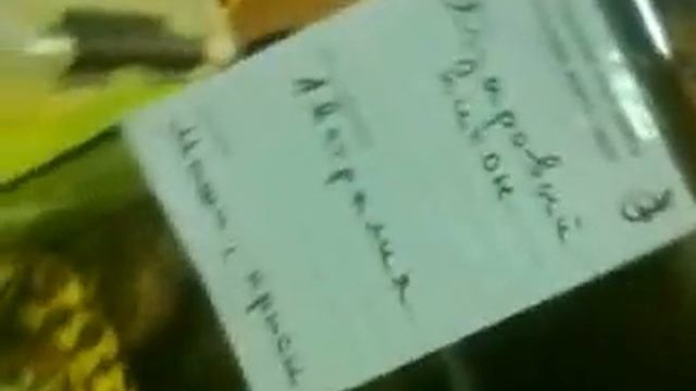 В мире животных 6. Змея! смотреть онлайн