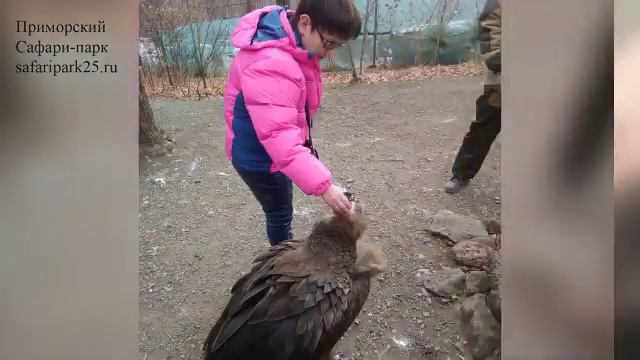 ГРИФ ГАРИК смотреть онлайн