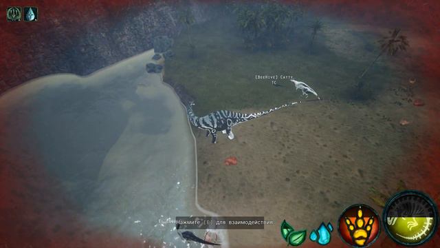 Beasts Of Bermuda  АПАТА 1