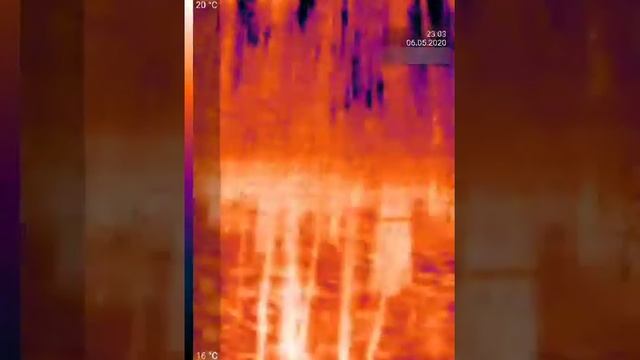 Forest In Thermal Image Using Seek Thermal Compact Pro