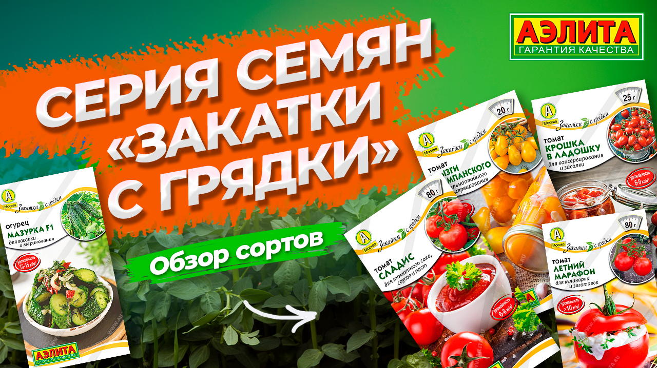 Выбирайте эти сорта томатов для заготовок! Серия семян ЗАКАТКИ С ГРЯДКИ смотреть онлайн