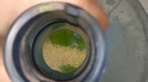 Как помыть пластиковый бутыль от зелёного налёта внутри