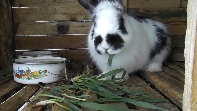 Строительные Материалы