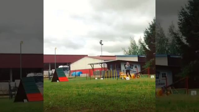 Hundeschule Schorr Fun-Agility смотреть онлайн