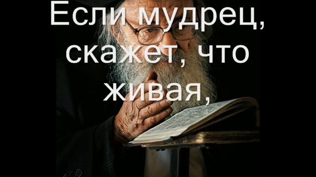Флештренинг Мудрец и бабочка смотреть онлайн