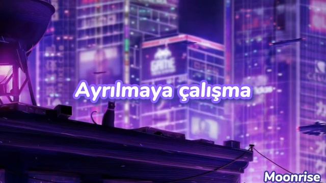 Mr. Kitty-Habits (Türkçe çeviri)