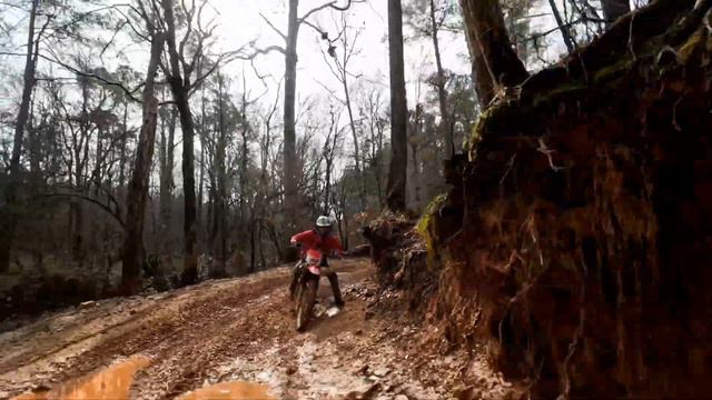 Carolina Adventure World - Rear View Pt1 смотреть онлайн