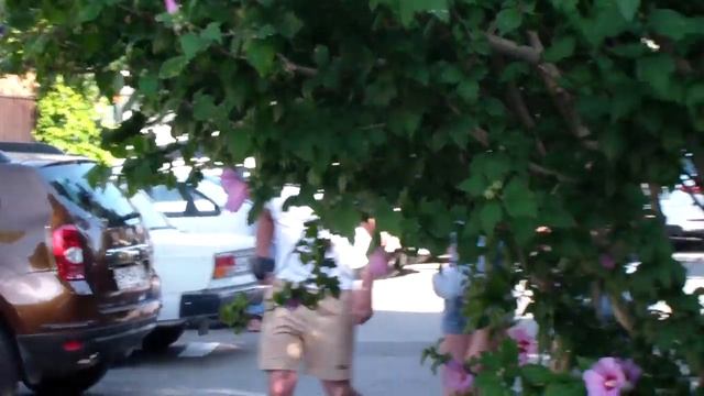 Адлер, ул. 8 марта смотреть онлайн