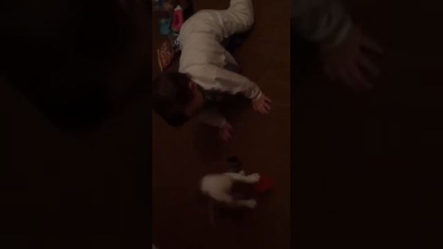 ну давай играть ..........котик смотреть онлайн