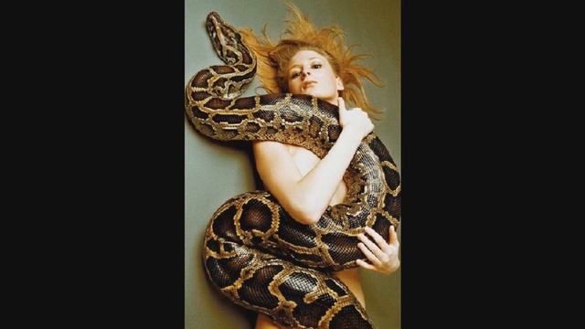 МонстрКрокодилНильский,ПИТОН,ТуканКРАСНОКЛЮВЫЙ,АРА МАКАОиСине-желтый