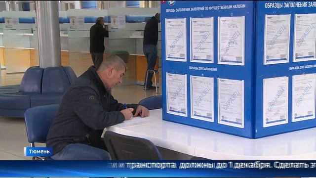 Тюменцы должны оплатить имущественный налог до 1 декабря смотреть онлайн