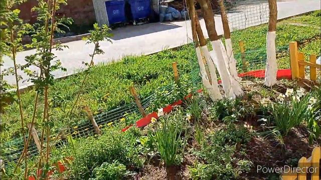 КИРОВ ул. Цеховая, Широнинцев май 2023 смотреть онлайн