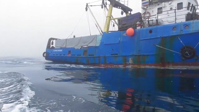 Рыбаки с Камчатки выкидывают креветку за борт смотреть онлайн