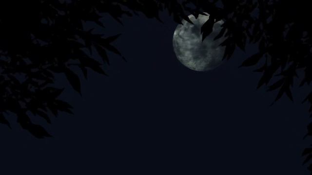 Людвигу ван Бетховену ~ 250 | 16 декабря | Лунная соната (1-я часть) | Beethoven | Moonlight Sonata смотреть онлайн