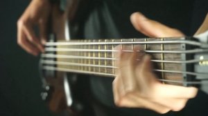 Pain - Party In My Head (Bass Cover) + FREE TAB