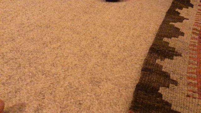 Rolls Royce crashes into F1 car (crazy R olls Royce driver) смотреть онлайн