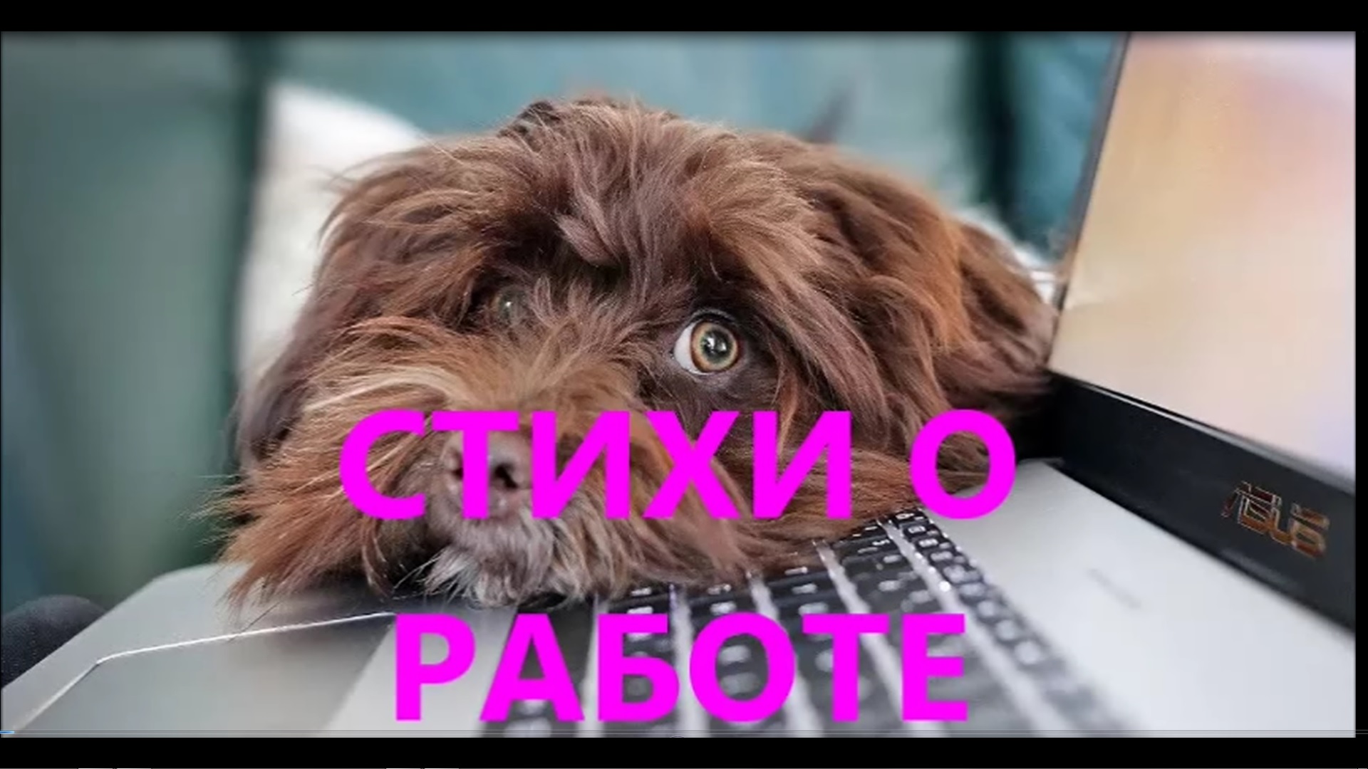 СТИХИ О РАБОТЕ.СТИХИ О ДЕНЬГАХ.Стихи Краевской смотреть онлайн