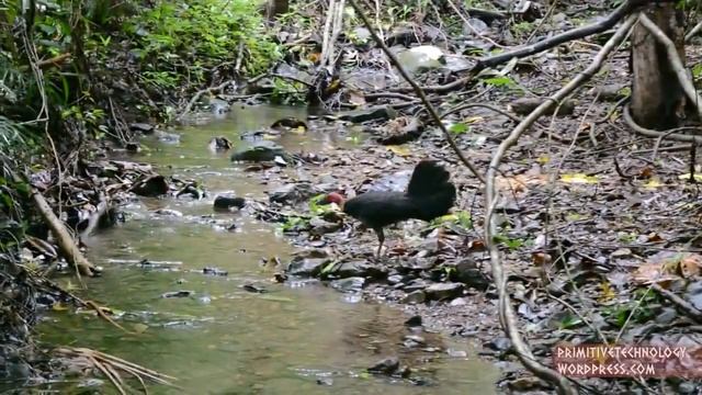 Лук и стрелы смотреть онлайн