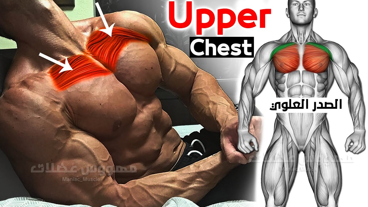 6 ЛУЧШИХ УПРАЖНЕНИЙ «ВЕРХНЯЯ ГРУДЬ» ? смотреть онлайн