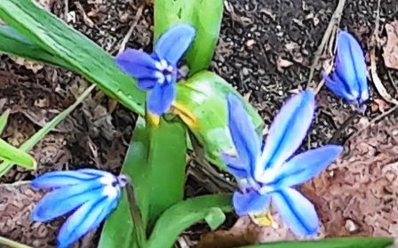 Ф.Шопен.Ноктюрн..mp4 смотреть онлайн