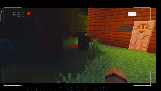 В ДЕРЕВНЕ ЧТО-ТО ПРОИСХОДИТ СТРАННОЕ [ЧАСТЬ 1] | СТРАШИЛКИ MINECRAFT смотреть онлайн